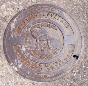 Storm Drain Cover