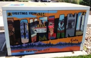 Loveland Transformer Boxes