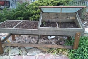 Cold Frame